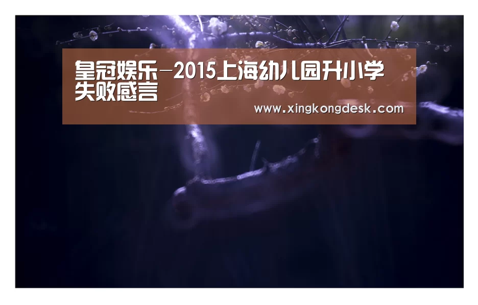 皇冠娱乐-2015上海幼儿园升小学失败感言(图3) 皇冠娱乐-2015上海幼儿园升小学失败感言(图3)