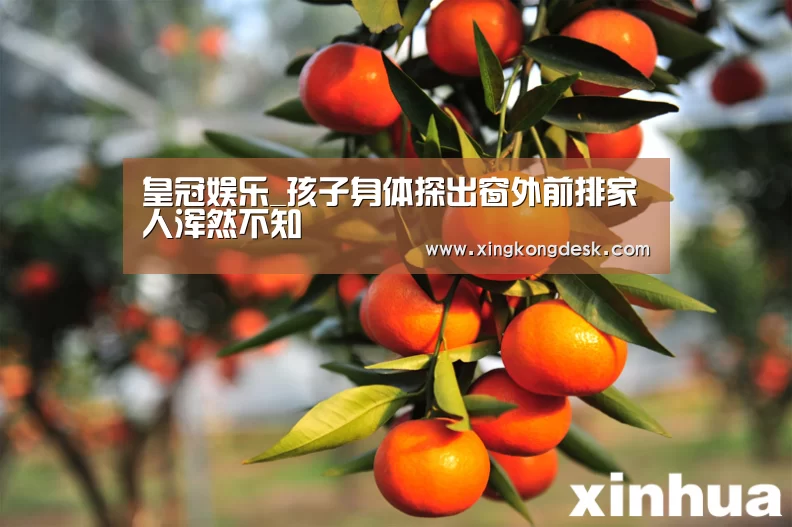 皇冠娱乐_孩子身体探出窗外前排家人浑然不知(图3) 皇冠娱乐