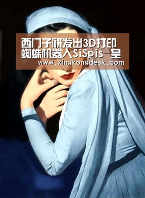 西门子研发出3D打印蜘蛛机器人SiSpis-皇冠网(图3) 皇冠网