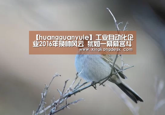 皇冠娱乐