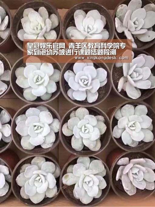 皇冠娱乐官网_青羊区教育科学院专家到泡幼苏坡进行课题结题检测(图1) 皇冠娱乐