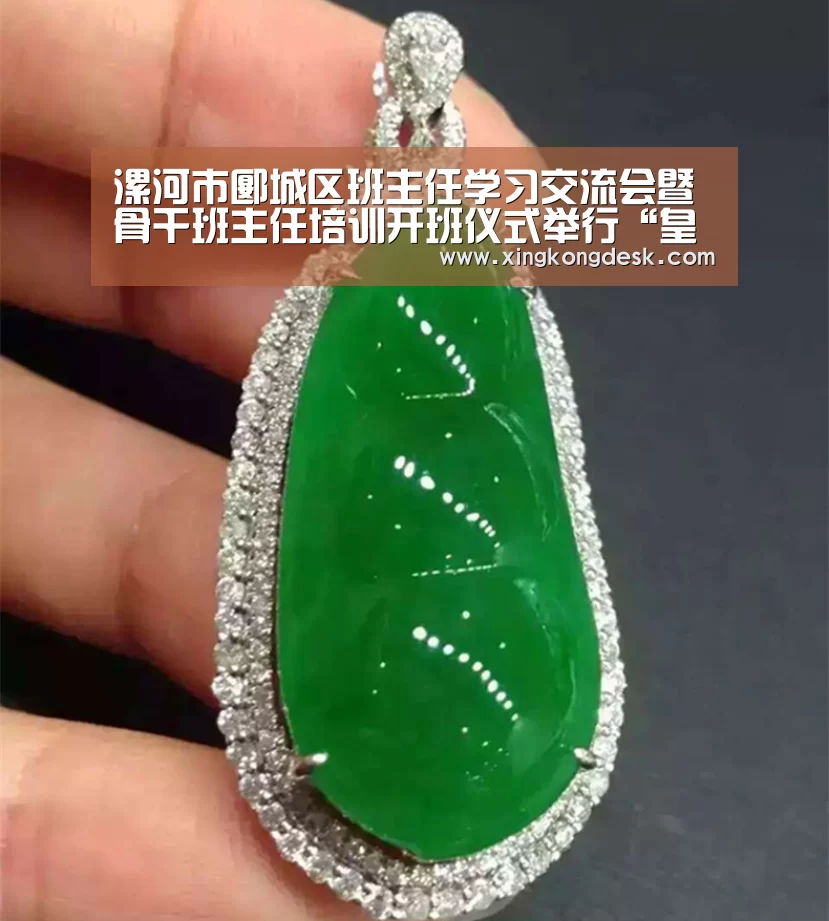 漯河市郾城区班主任学习交流会暨骨干班主任培训开班仪式举行“皇冠娱乐官网”(图3) 皇冠娱乐