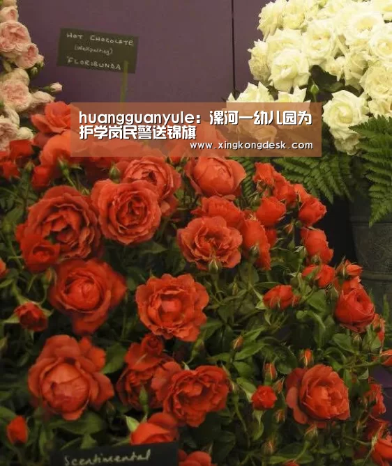 huangguanyule:漯河一幼儿园为护学岗民警送锦旗(图3) huangguanyule:漯河一幼儿园为护学岗民警送锦旗(图3)