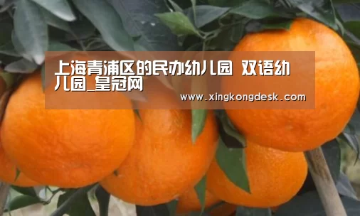上海青浦区的民办幼儿园 双语幼儿园_皇冠网(图3) 皇冠网