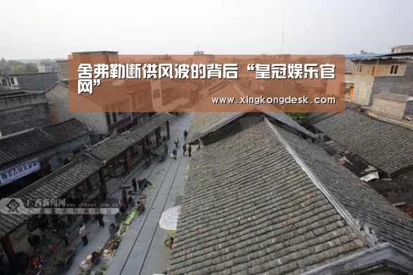 舍弗勒断供风波的背后“皇冠娱乐官网”(图3) 皇冠娱乐官网