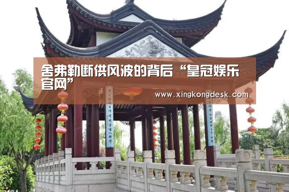 舍弗勒断供风波的背后“皇冠娱乐官网”(图2) 皇冠娱乐官网